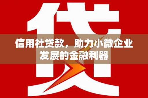霍邱信用社贷款，助力小微企业发展的金融利器
