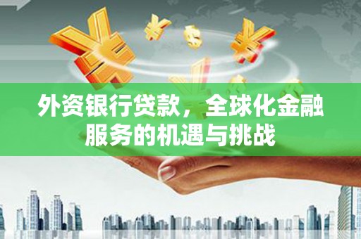 霍邱外资银行贷款，全球化金融服务的机遇与挑战