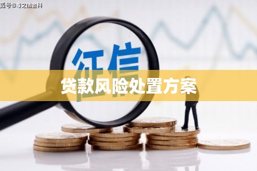 霍邱贷款风险处置方案