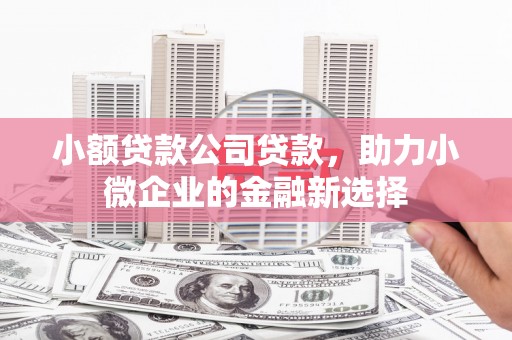 霍邱小额贷款公司贷款，助力小微企业的金融新选择