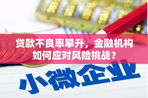 霍邱贷款不良率攀升，金融机构如何应对风险挑战？