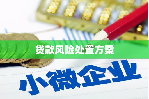 霍邱贷款风险处置方案