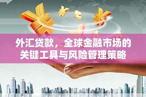霍邱外汇贷款，全球金融市场的关键工具与风险管理策略