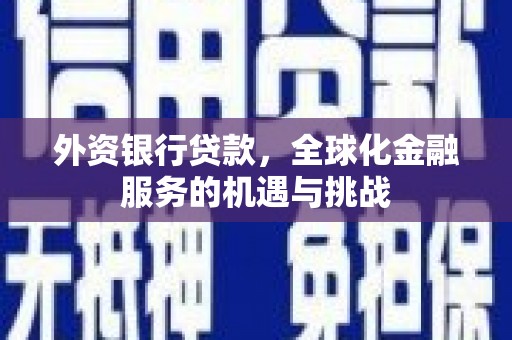 霍邱外资银行贷款，全球化金融服务的机遇与挑战