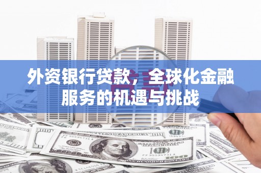 霍邱外资银行贷款，全球化金融服务的机遇与挑战