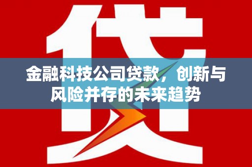 霍邱金融科技公司贷款，创新与风险并存的未来趋势