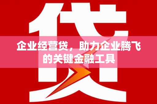 霍邱企业经营贷，助力企业腾飞的关键金融工具