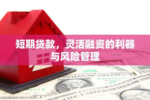霍邱短期贷款，灵活融资的利器与风险管理