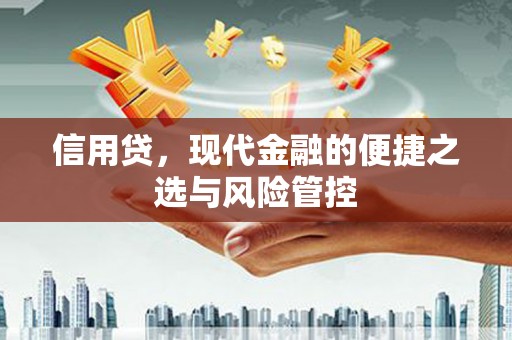 霍邱信用贷，现代金融的便捷之选与风险管控