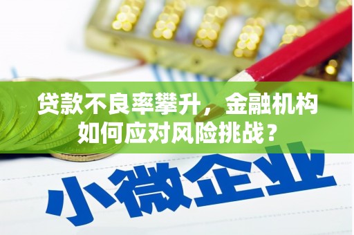 霍邱贷款不良率攀升，金融机构如何应对风险挑战？