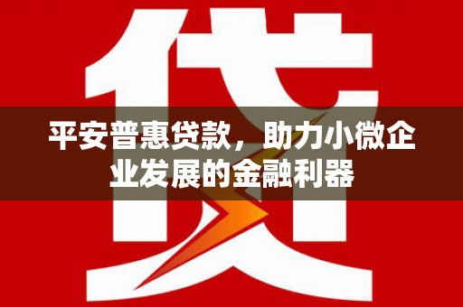霍邱平安普惠贷款，助力小微企业发展的金融利器