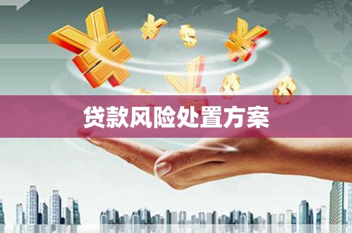 霍邱贷款风险处置方案